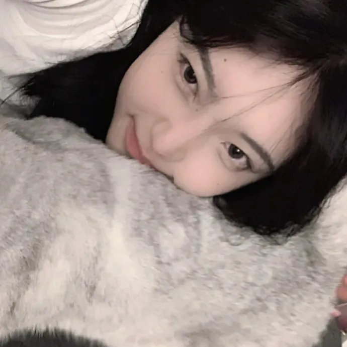狼与狮子